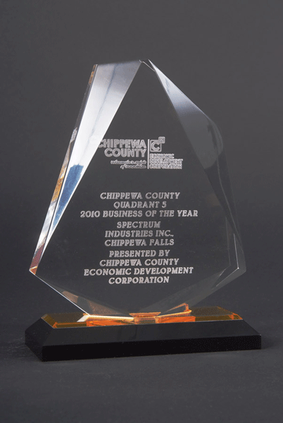 Chippewa County 2010 Business of the Year award